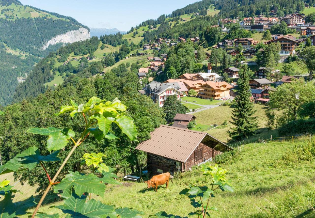 Panoramapark Soleil Chalet B Wengen Buitenkant foto
